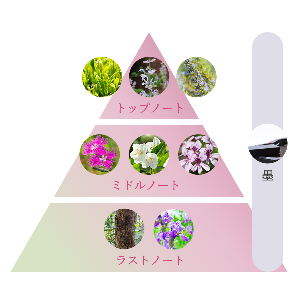 トップノート　緑茶/クラリセージ/ローズマリー　　ミドルノート　匂い撫子/ジャスミン/ゼラニウム　　ラストノート　サンダルウッド/イリス