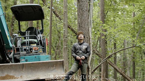 上映作品例：「FOREST TRAIL」