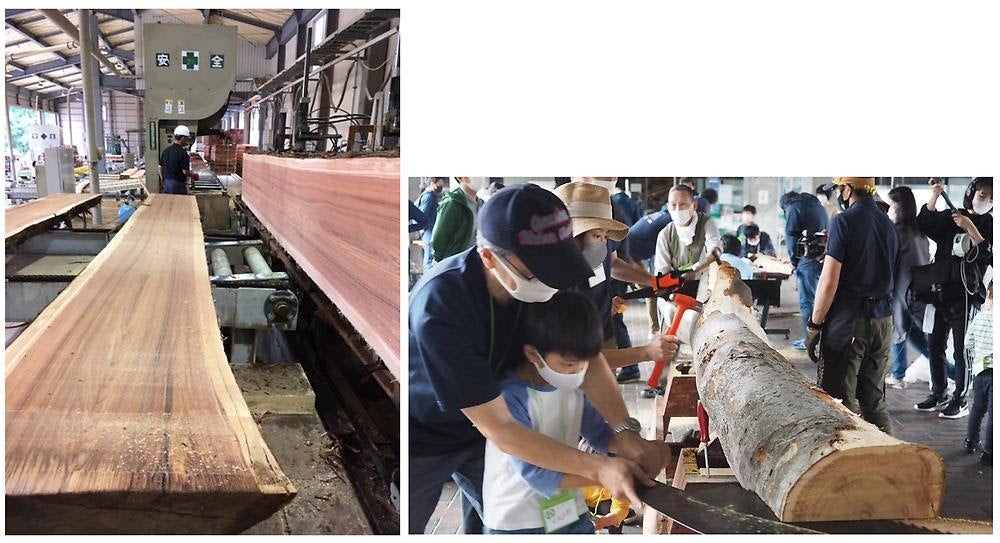 左：無垢大断面製材／株式会社ダイテック提供　右：世田谷区本庁舎 ケヤキ製材ワークショップ／ 都市森林株式会社提供