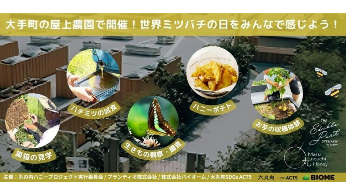 大手町の屋上農園で開催!世界ミツバチの日をみんなで感じよう!